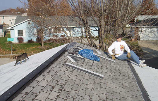 roof 2